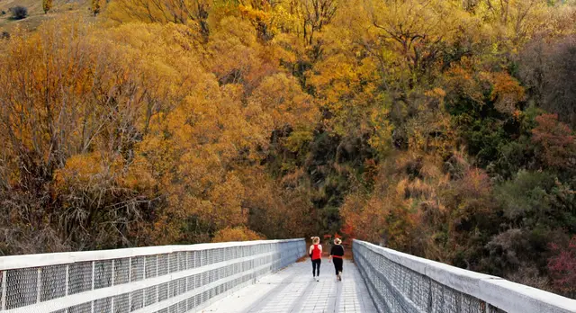 The Lower Shotover River bridges seen from the riverbed.