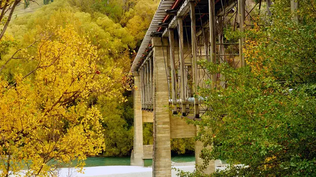 The old Lower Shotover Bridge, now a walking and cycling crossing, in autumn trees.