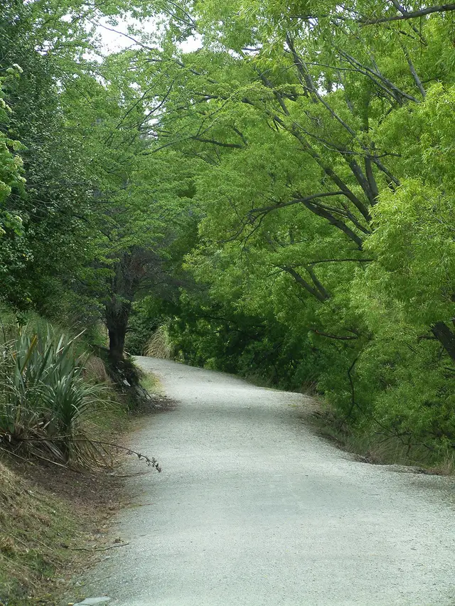 The track from Queenstown Bay toward Frankton, beside the lake.