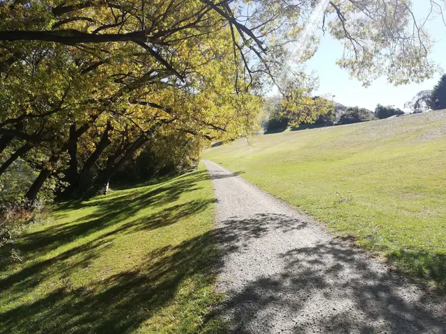 A gravel trail beside the Frankton Arm of Lake Wakatipu, with willows along the shore and the Remarkables in the distance.